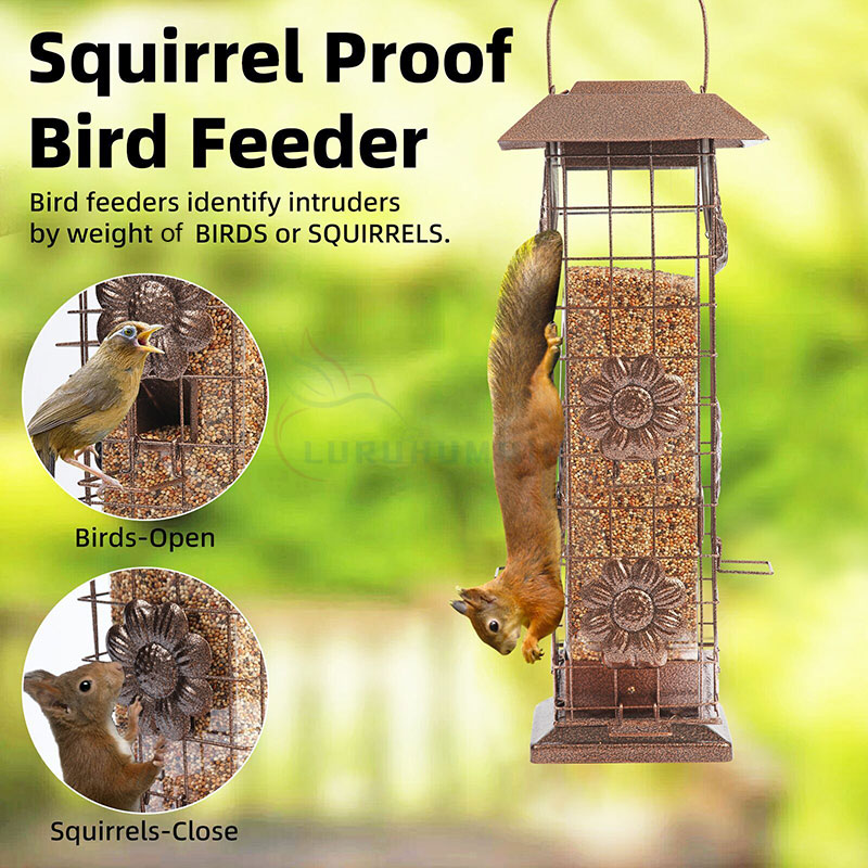 Why Are Wild Bird Feeders Becoming in Eco-Friendly Gardening?
